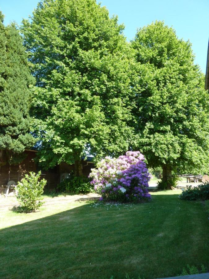 'Chez Lulu' - Gite Cocon Avec Bain Nordique Ardenne Nassogne Buitenkant foto