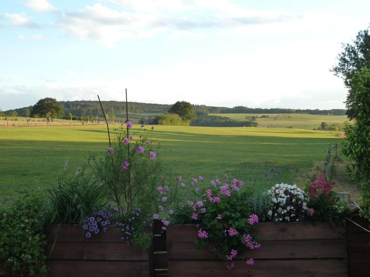 'Chez Lulu' - Gite Cocon Avec Bain Nordique Ardenne Nassogne Buitenkant foto